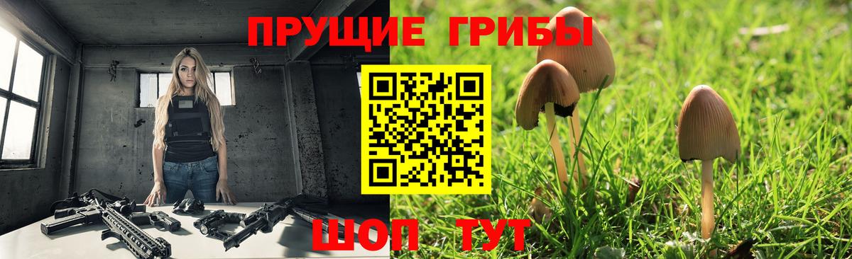 Камышин  Галлюциногенные грибы мицелий  Вход с VPN 